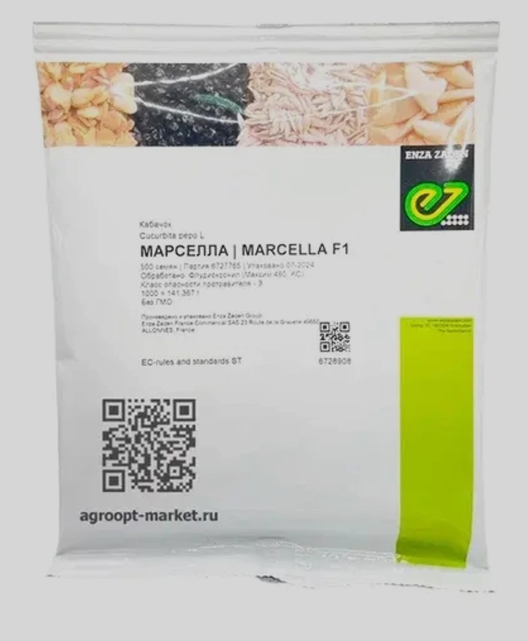 Кабачок Марселла